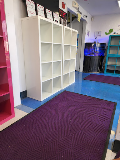 Gymnastics Center «Bay Aerials Gymnastics», reviews and photos, 4883 Davenport Pl, Fremont, CA 94538, USA