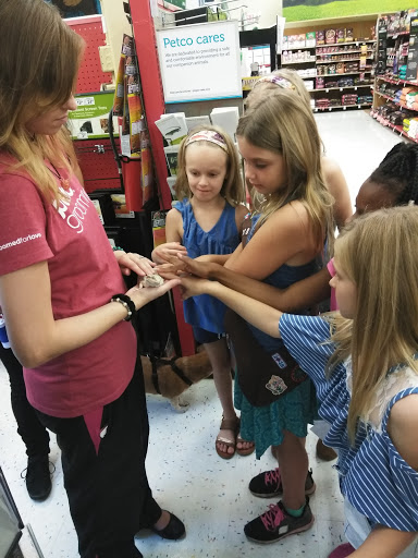 Pet Supply Store «Petco Animal Supplies», reviews and photos, 430 Cbl Dr, St Augustine, FL 32086, USA