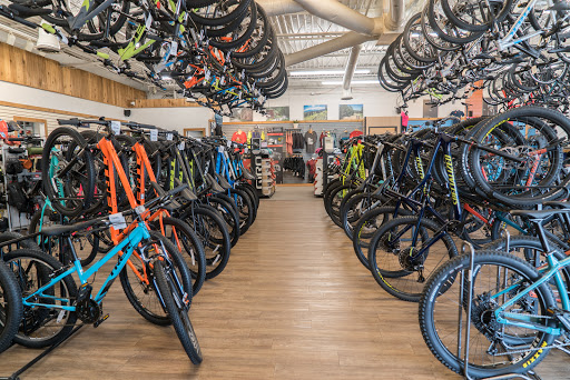 Bicycle Store «Richardson Bike Mart - Dallas», reviews and photos, 9040 Garland Rd, Dallas, TX 75218, USA