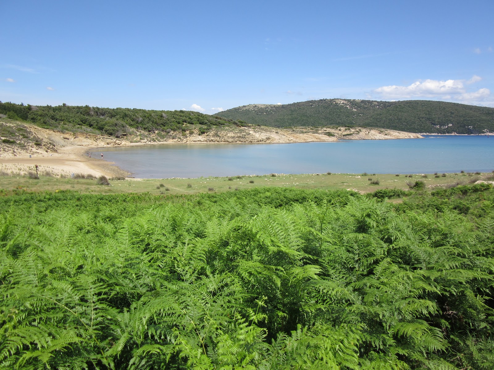 Foto di Podsilo beach circondato da montagne