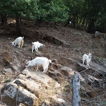 Photo n°3 de l'avis de Silvia.a fait le 14/08/2018 à 20:47 sur le  Agriturismo Il Daino à San Piero Patti