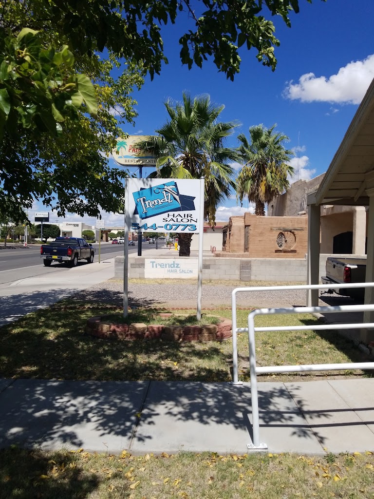 Trendz Hair Salon 88030
