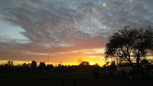 Pet Supply Store «Elverta Feed Pet & Tack Inc», reviews and photos, 7831 Rio Linda Blvd, Elverta, CA 95626, USA