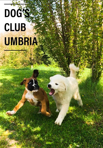 Pensioni per cani e dog hotel a Dog's Club umbria