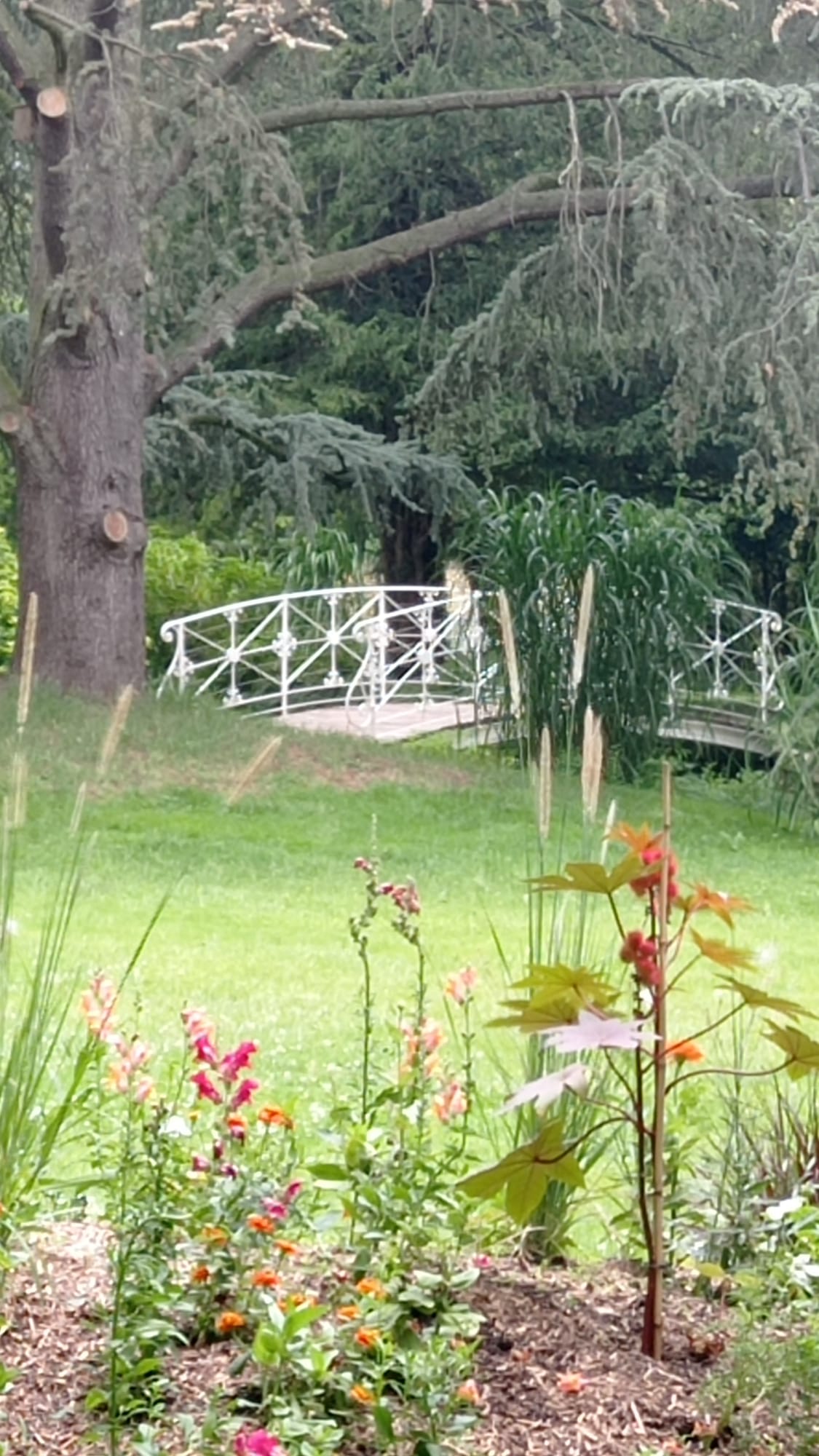 Photo n° 9 de l'avis de Olivier.a fait le 13/07/2022 à 11:35