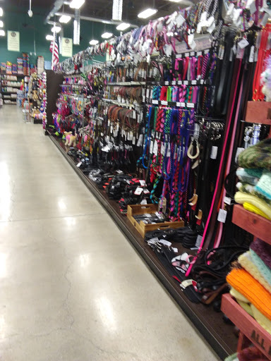 Pet Supply Store «Premier Pet Supply», reviews and photos, 15399 Merriman Rd, Livonia, MI 48154, USA