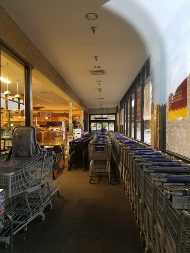 Grocery Store «Food Lion», reviews and photos, 2800 Yadkin Rd, Chesapeake, VA 23323, USA