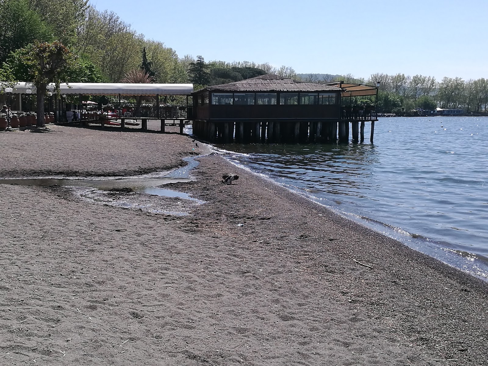 Spiaggia Lago Bolsena photo #7