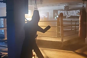 Royal Boxing Club image