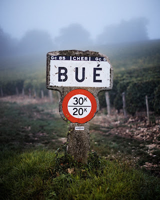 Domaine Lucien Crochet à Bue