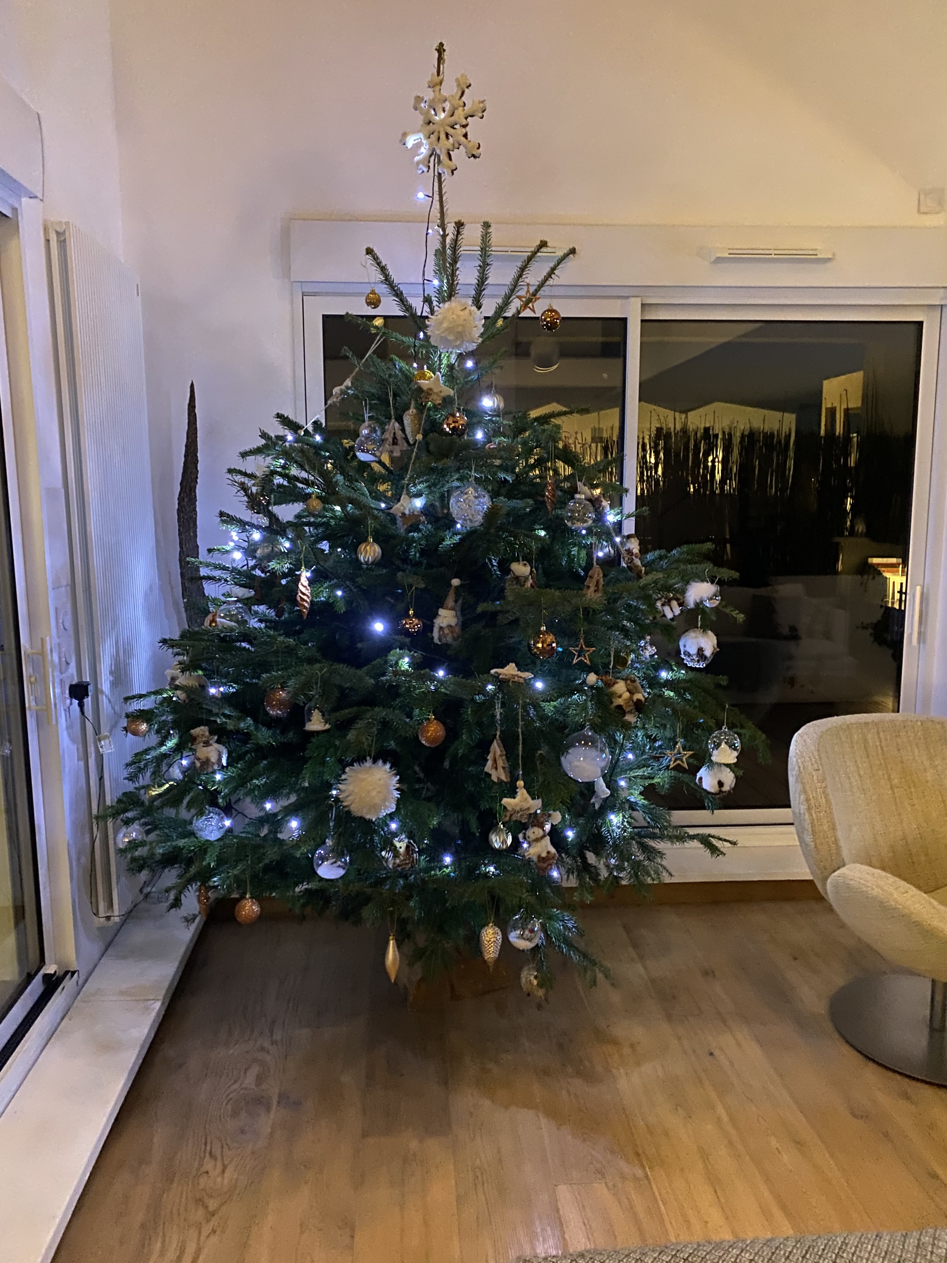 Photo n° 2 de l'avis de michel.O fait le 01/12/2021 à 19:37