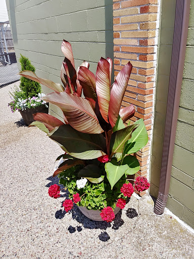 Florist «RoseBud Florist Inc.», reviews and photos, 350 Benefit St, Pawtucket, RI 02861, USA