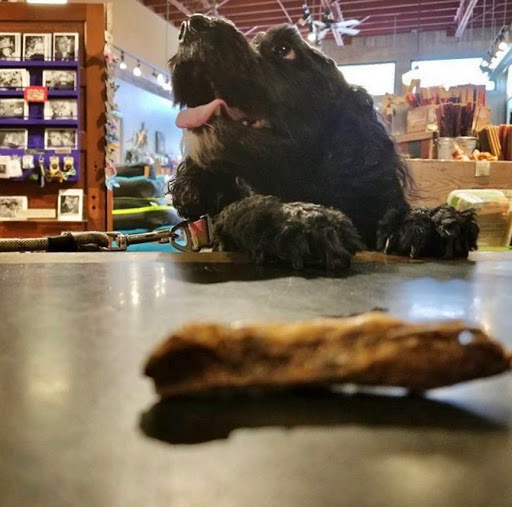 Pet Supply Store «Green Dog Pet Supply», reviews and photos, 4327 NE Fremont St, Portland, OR 97213, USA