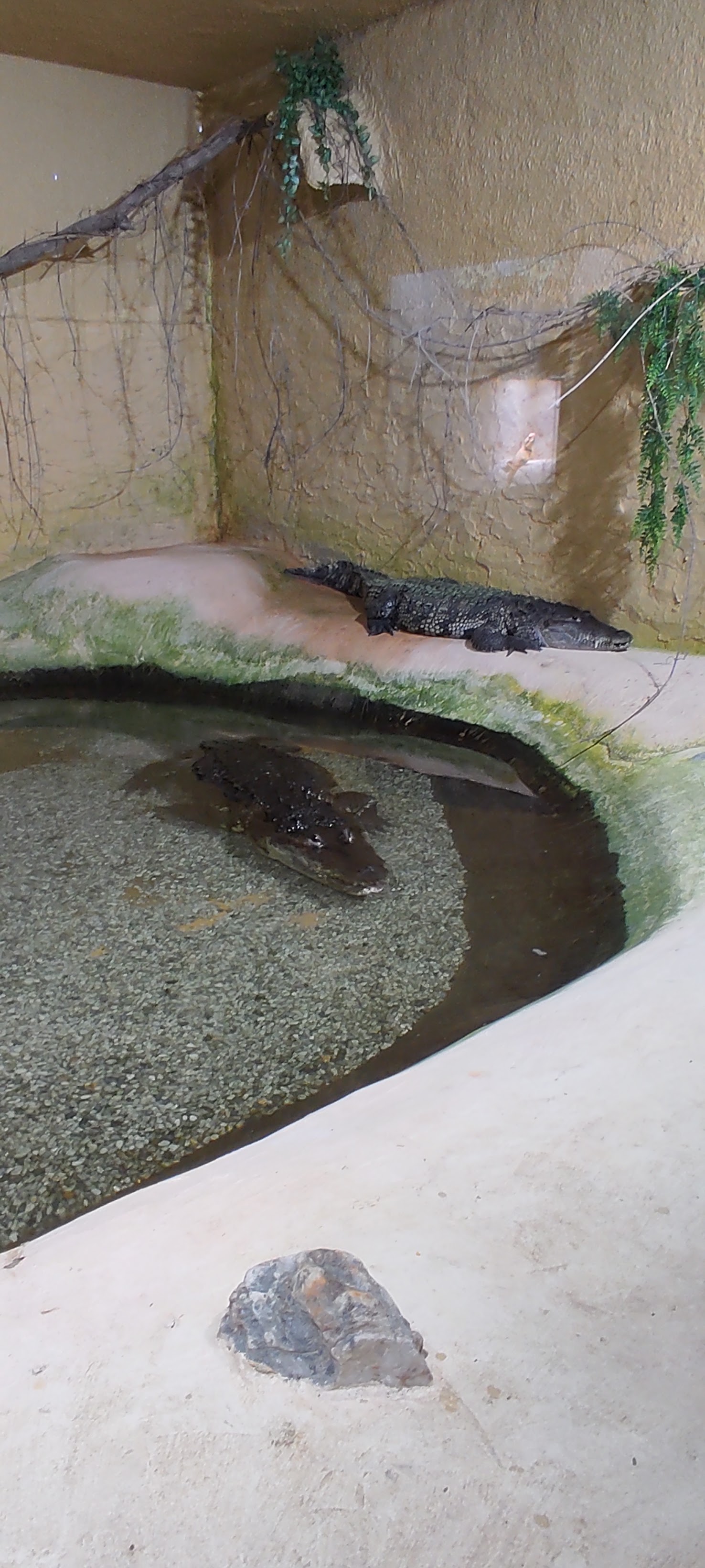 Photo n° 7 de l'avis de Astrid.i fait le 17/09/2021 à 13:14