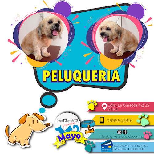 Veterinaria & Peluquería Canina Healthy Pets - Guayaquil