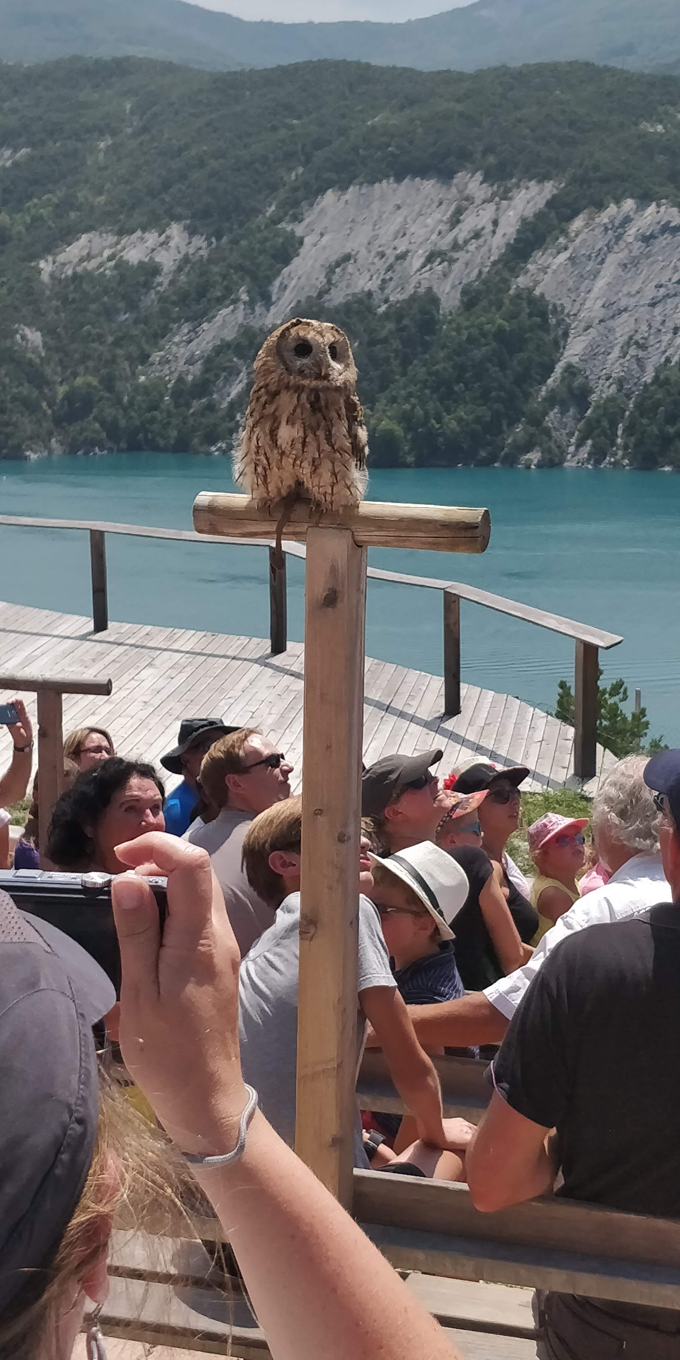 Photo n° 22 de l'avis de Sylvain.e fait le 02/08/2018 à 06:25