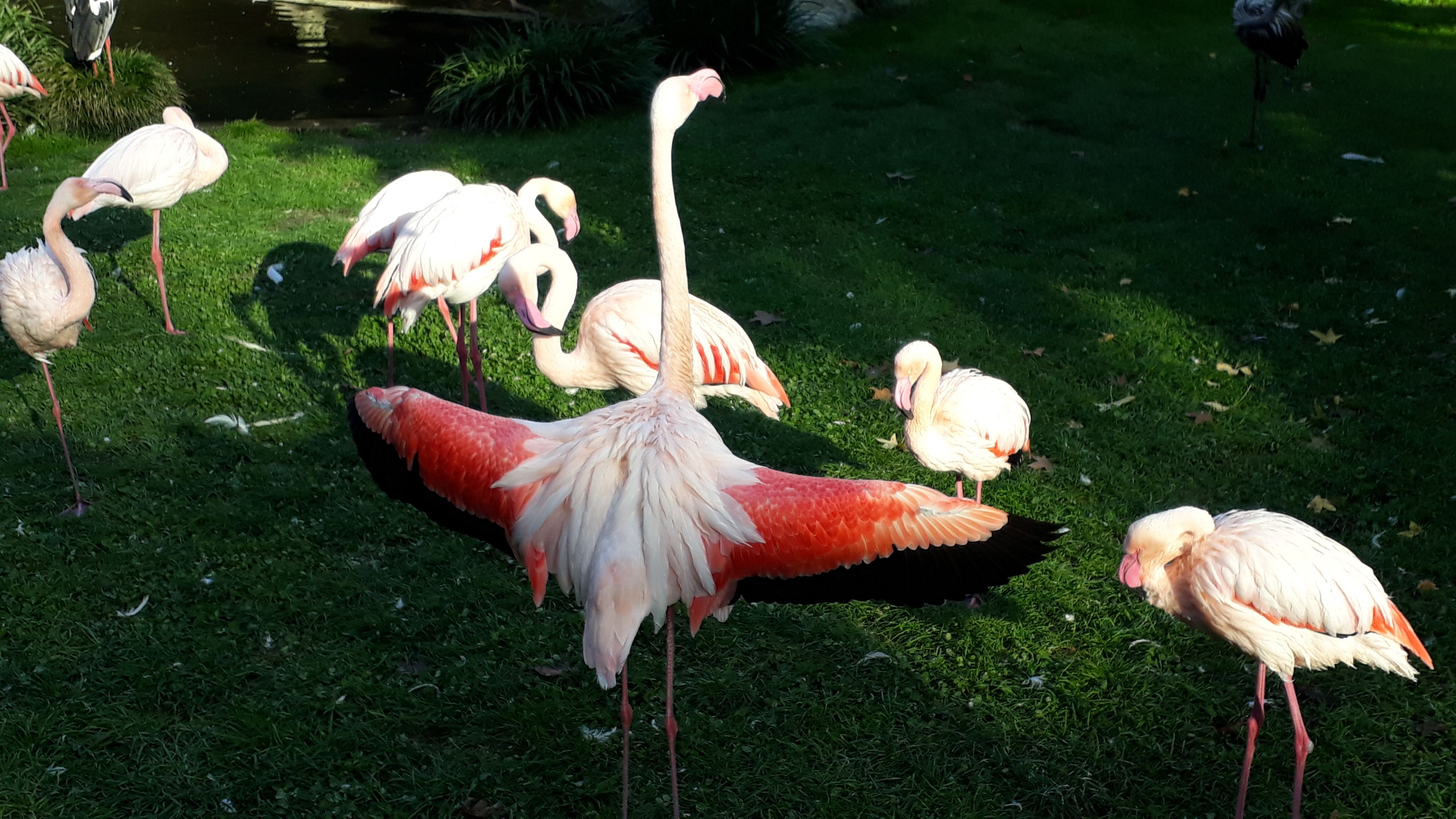 Photo n° 5 de l'avis de Mickaël.a fait le 06/11/2018 à 17:43