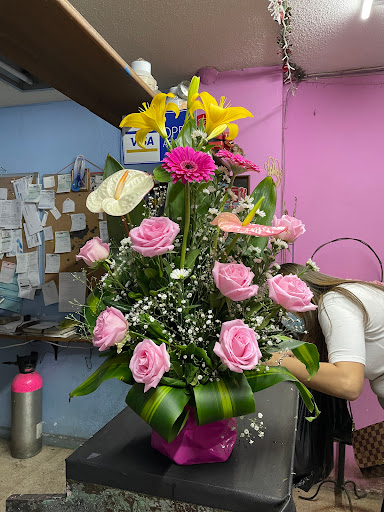 Florería La Merced – Morelia