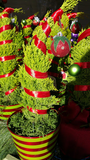 Supermarket «Roche Bros. Mashpee», reviews and photos, 11 Commercial St, Mashpee, MA 02649, USA