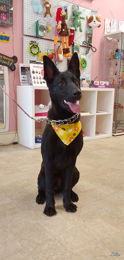 Pet Groomer «Furry Tails Pet Grooming», reviews and photos, 865 Cypress Pkwy, Poinciana, FL 34759, USA