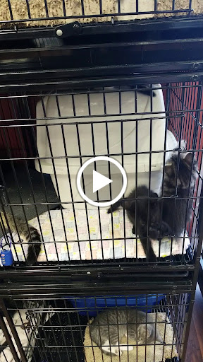 Pet Store «Pet Valu», reviews and photos, 2040 Abbey Rd, Charlottesville, VA 22911, USA