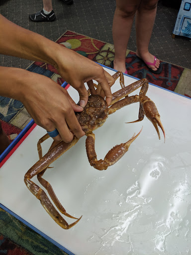 Aquarium «Explore the Ocean World, llc Oceanarium», reviews and photos, 367 Ocean Blvd, Hampton, NH 03842, USA