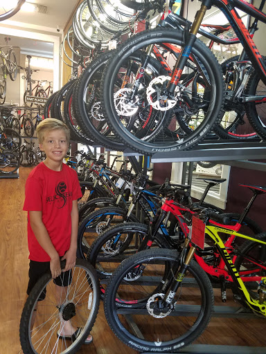 Bicycle Store «Cadence Cyclery of McKinney», reviews and photos, 129 S Tennessee St, McKinney, TX 75069, USA