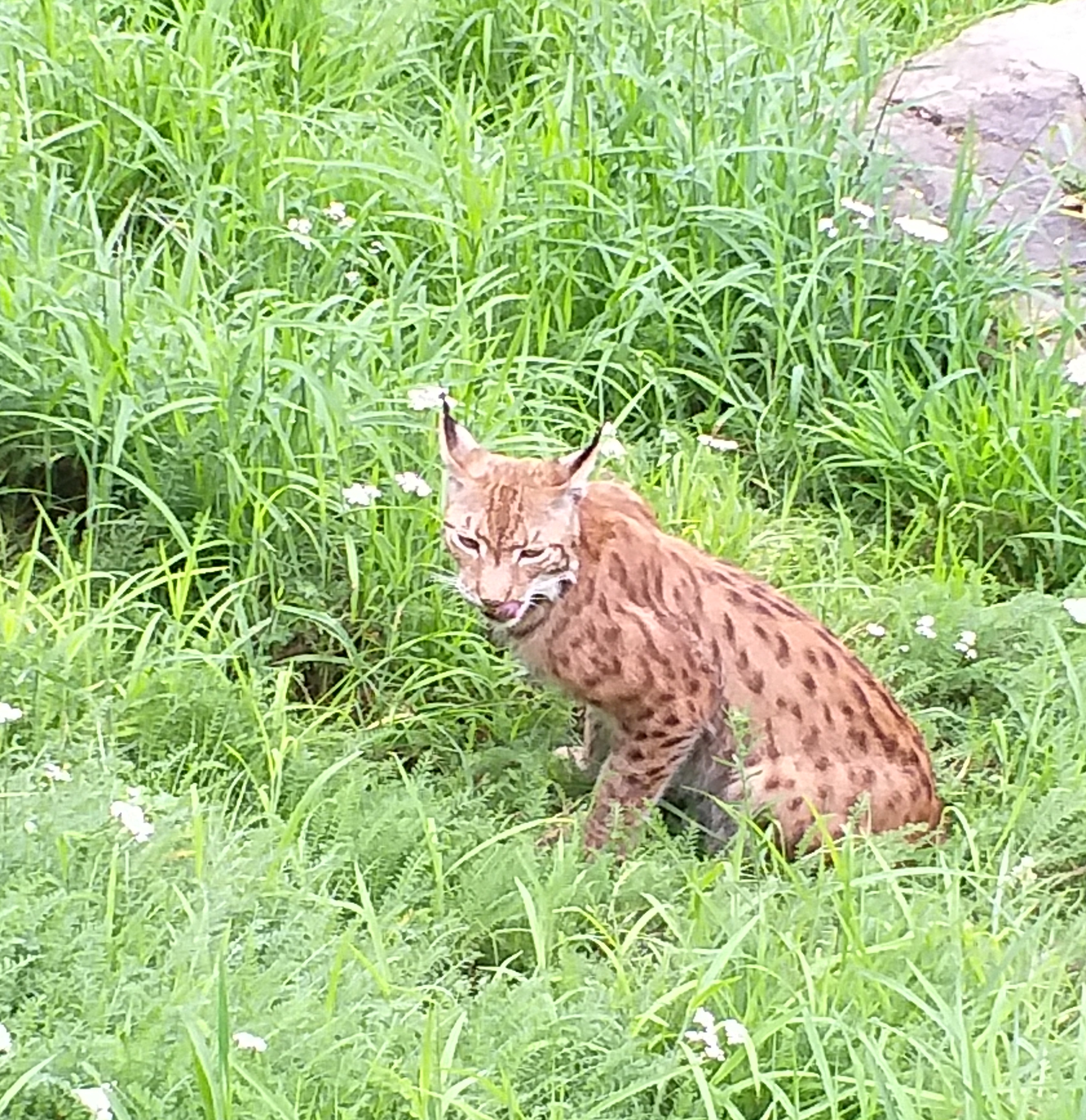 Photo n° 4 de l'avis de Caroline.e fait le 11/08/2019 à 21:48