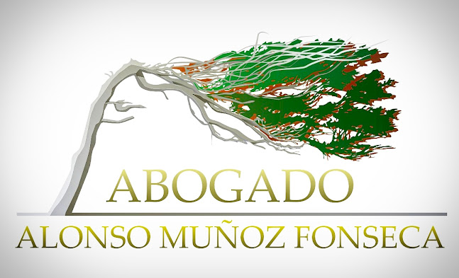 Abogado Alonso Muñoz Fonseca - Natales