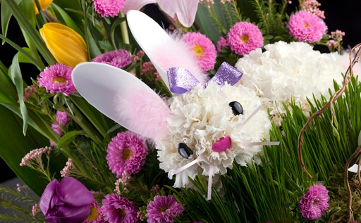 trendy_flowers – Temascalcingo