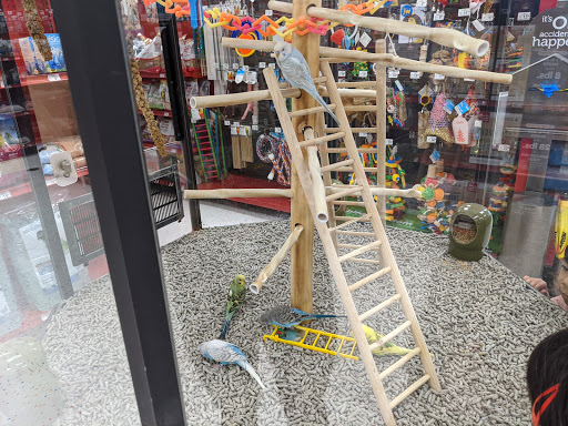 Pet Supply Store «Petco Animal Supplies», reviews and photos, 1919 El Camino Real, Mountain View, CA 94040, USA