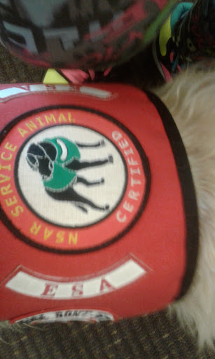 Book Store «Books-A-Million», reviews and photos, 1810 Cumming Hwy, Canton, GA 30114, USA