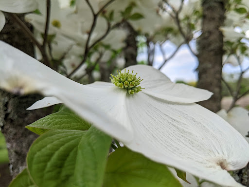 Nature Preserve «Farmington Hills Nature Center», reviews and photos, 24915 Farmington Rd, Farmington Hills, MI 48336, USA