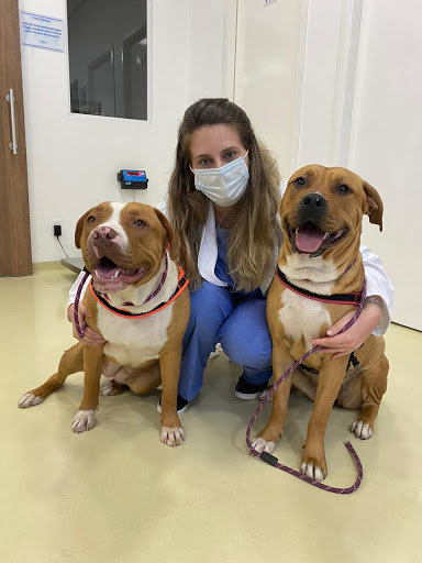 Animal City - Veterinary Center em São Paulo - SP