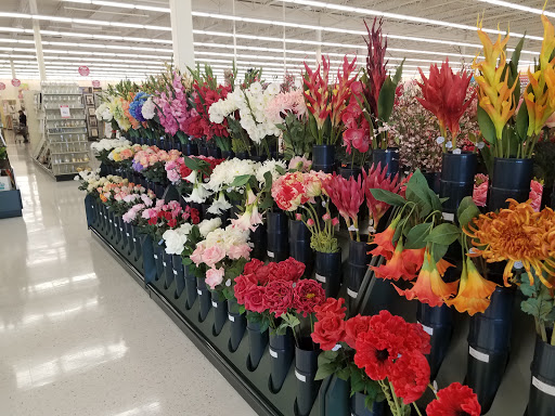 Craft Store «Hobby Lobby», reviews and photos, 1660 S Robert St, West St Paul, MN 55118, USA