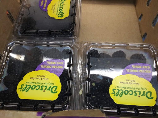 Grocery Store «ALDI», reviews and photos, 6250 Touhy Ave, Niles, IL 60714, USA