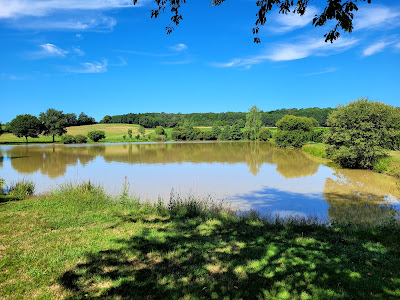 Étang du Bois-Jardinet à Ansac-sur-Vienne