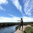 Newport Bay Conservancy