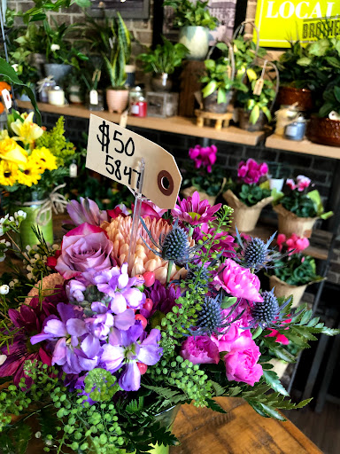 Grocery Store «Brothers Marketplace», reviews and photos, 446 Main St, Medfield, MA 02052, USA