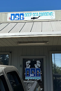 Deep Sea Gardens - Photo 2 - Car repair in Carmichael, CA, Sacramento