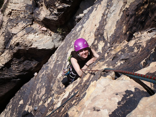 Mountain Skills Rock Guides, LLC