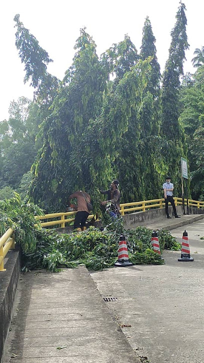 Potong Pokok kota Kinabalu