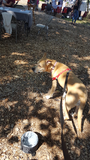 Plant Nursery «Colonial Gardens», reviews and photos, 745 Schuylkill Rd, Phoenixville, PA 19460, USA