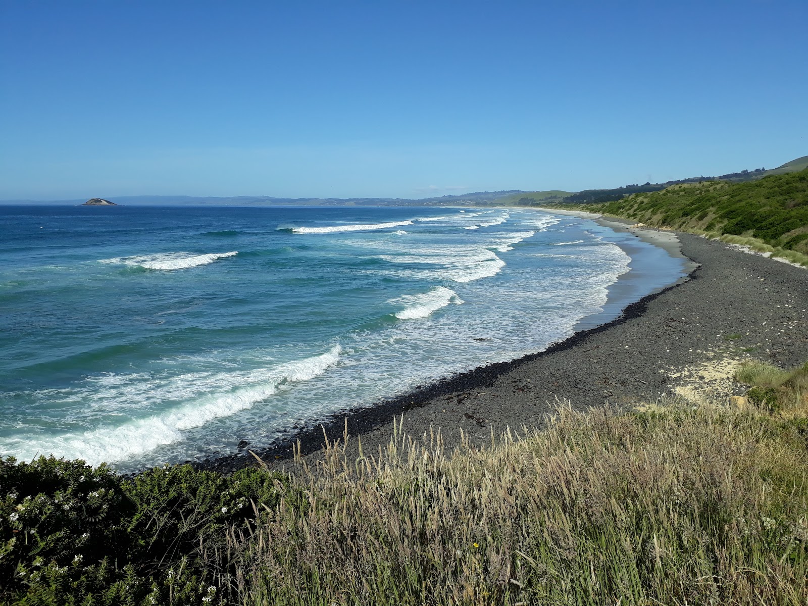 Photo de Blackhead Surfing Beach - bon endroit convivial pour les animaux de compagnie pour les vacances