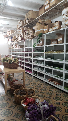 Tiendas para comprar plantas interior Caracas