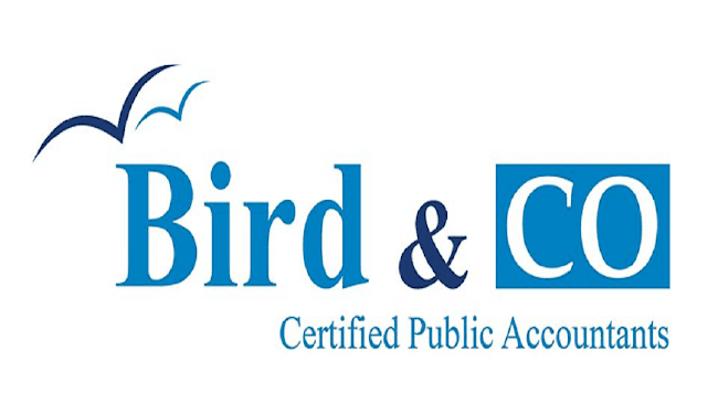 Bird & Co - Financial Consultant