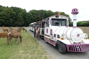 Safari Train image