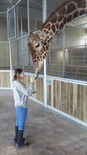 Keystone Safari - photo 2