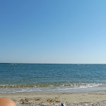 Photo n°3 de l'avis de eliana.e fait le 10/09/2023 à 05:17 sur le  RISTORANTE PIZZERIA DA YANKEE à Fano