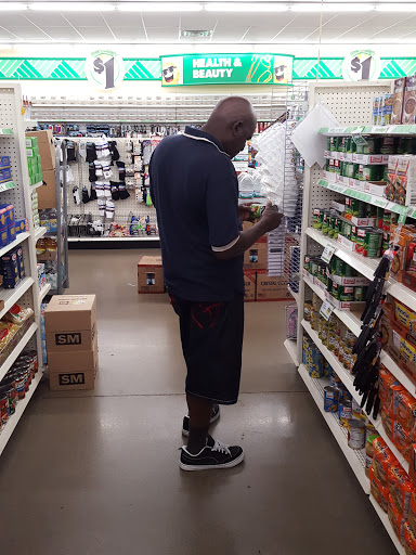 Dollar Store «Dollar Tree», reviews and photos, 1420 S Centerville Rd, Sturgis, MI 49091, USA